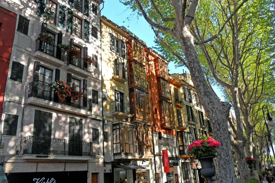 Solutions dératisation et nuisibles pour Copropriétés